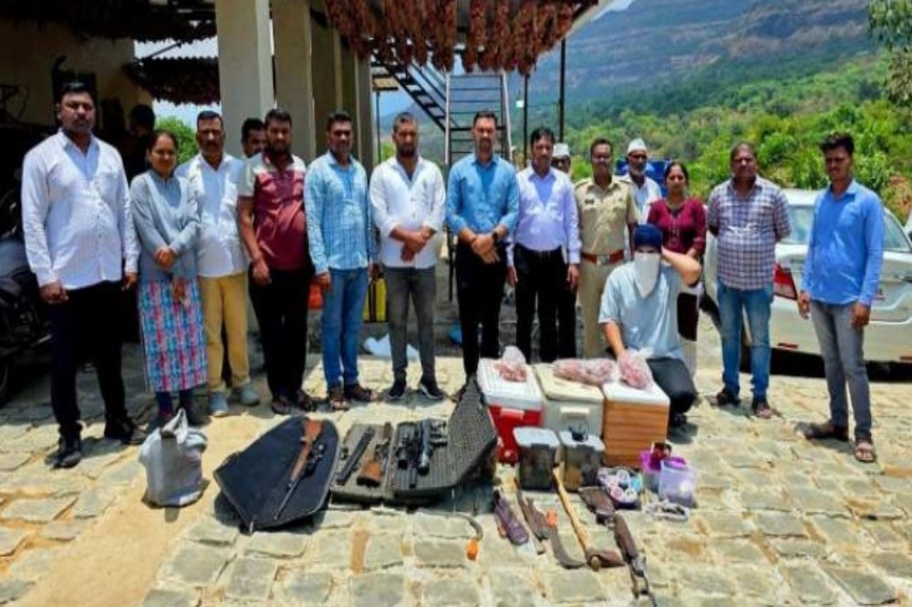 मावळमध्ये बेकायदेशीर शिकारीचा पर्दाफाश, वनविभागाची धडक कारवाई